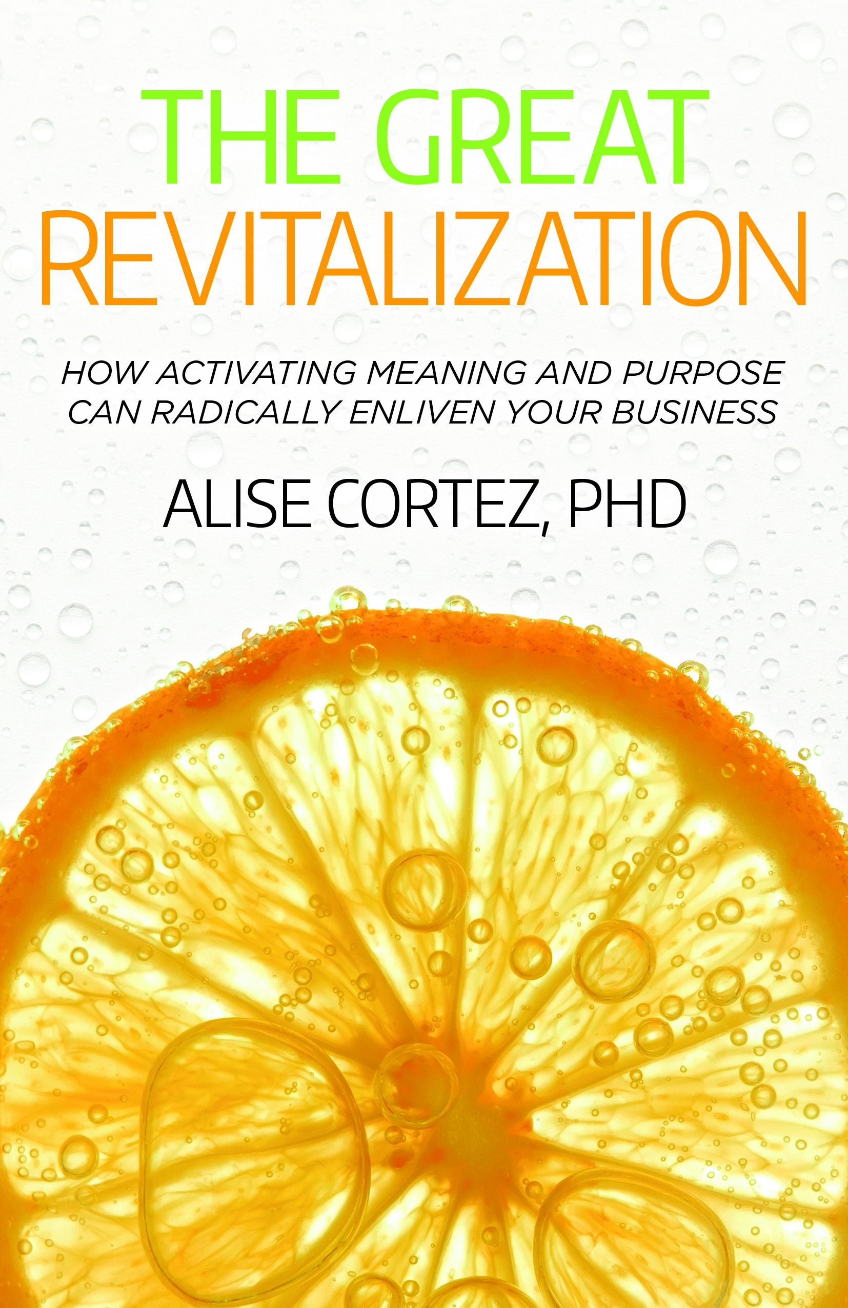 Book cover image for The Great Revitalization ISBN: 9781788603850